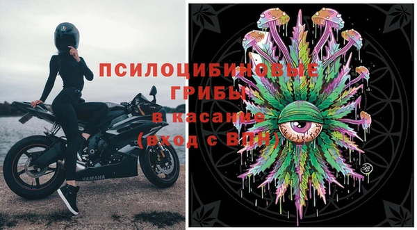 ГАЛЛЮЦИНОГЕННЫЕ ГРИБЫ Балабаново