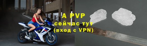 дживик Баксан