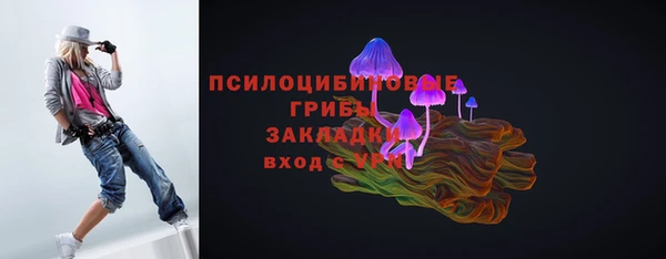 дживик Баксан