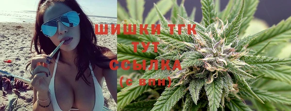 ГАЛЛЮЦИНОГЕННЫЕ ГРИБЫ Балабаново