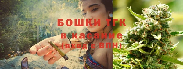крисы Пересвет