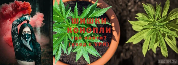 дживик Баксан