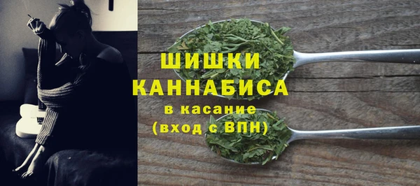 крисы Пересвет