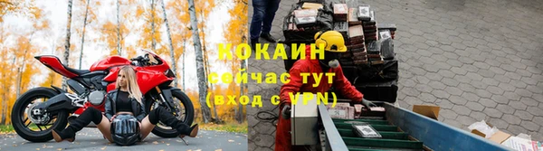ГАЛЛЮЦИНОГЕННЫЕ ГРИБЫ Балабаново