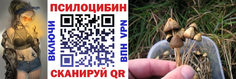 купить   Ясногорск  Псилоцибиновые грибы ЛСД 